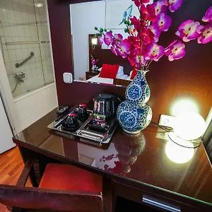 *** Otel Falcon Plaza Centre Hollanda